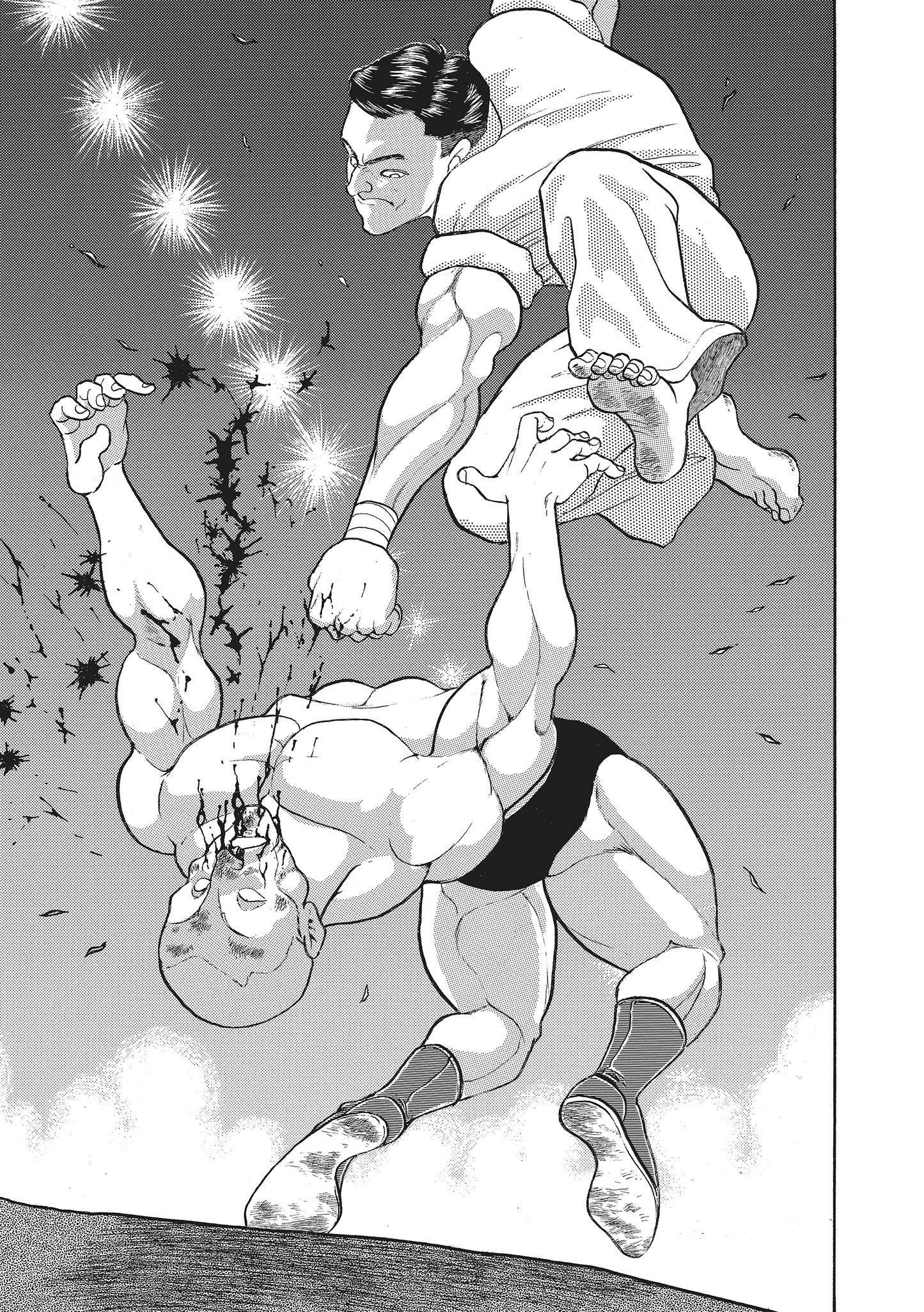 Baki The Grappler (Perfect Edition) Vol. 13